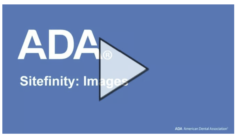 sitefinity images.png