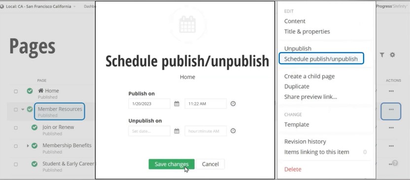 pages-schedule-publish-unpublish