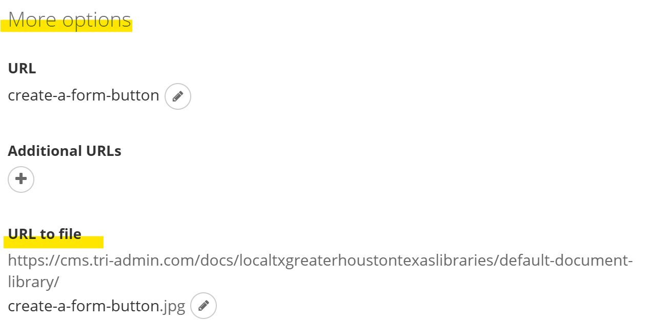 Document URL field for a locked file